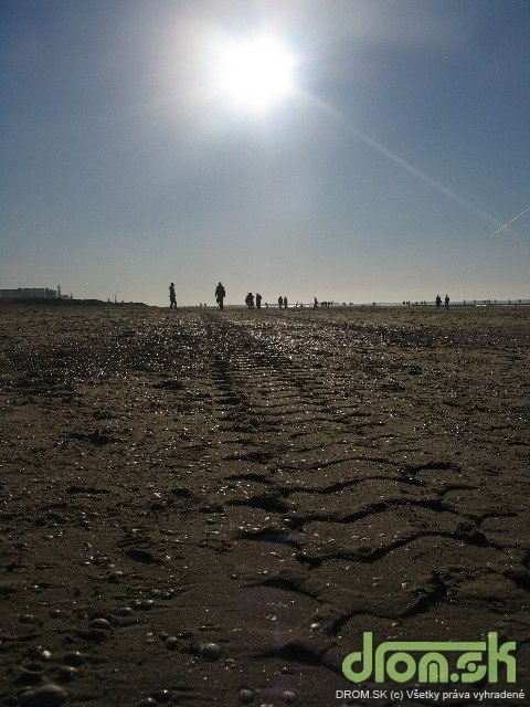 Beach @ Den Haag