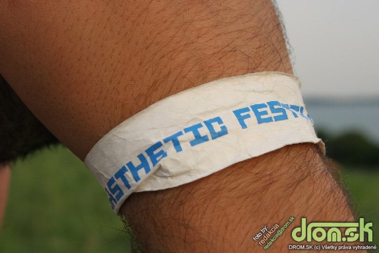 Easthetic festival 2011