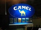 camel (kamel)